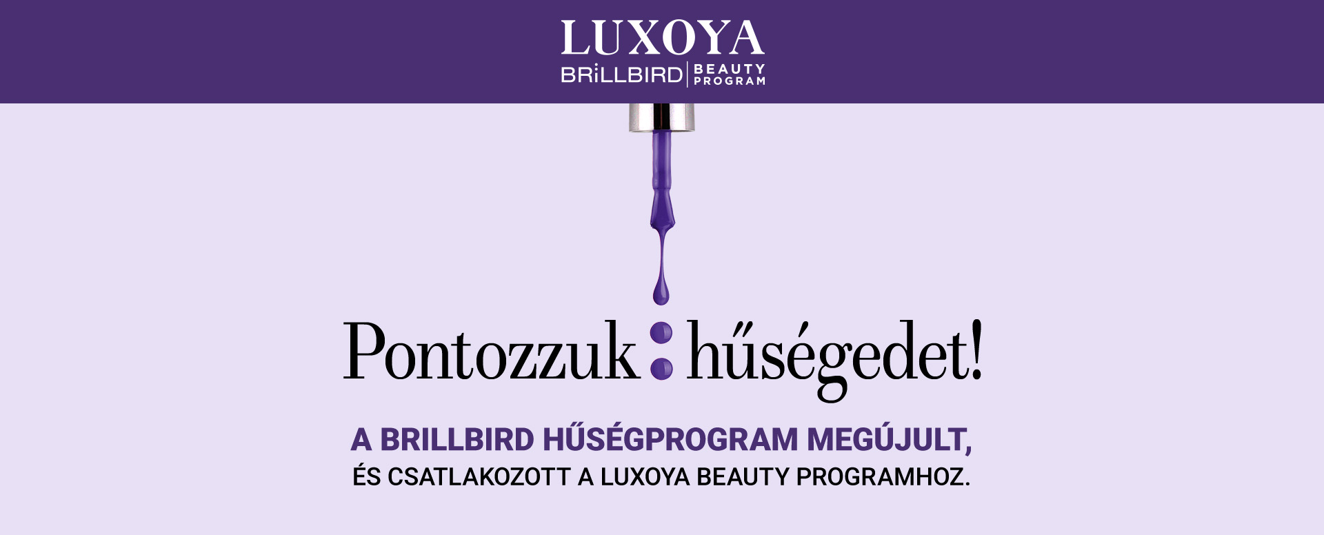 BrillBird - Luxoya-Huseg-Program