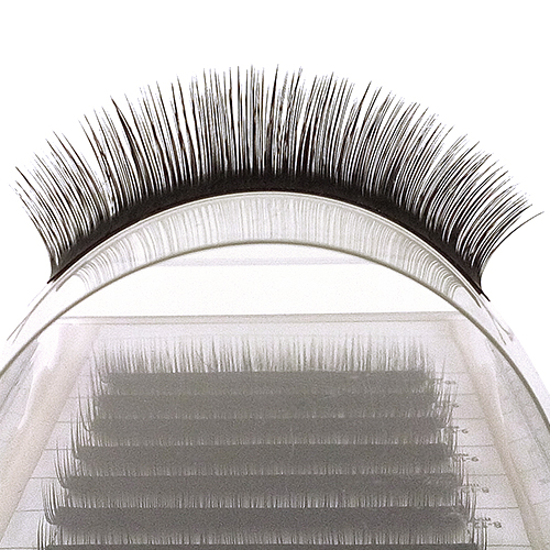 Camellia Lashes