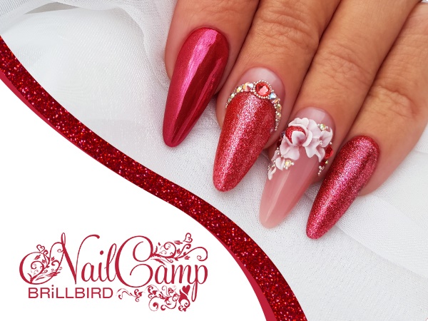 VI. BrillBird NailCamp 2020